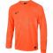 Vartininko marškinėliai  Nike PARK GOALIE II LS M 588418-803