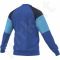 Bliuzonas  treniruotėms Condivo 16 Sweat Top M AC4300