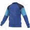 Bliuzonas  treniruotėms Condivo 16 Sweat Top M AC4300