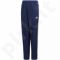 Sportinės kelnės futbolininkams Adidas Tiro 19 Woven Pant Junior DT5781