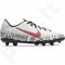 Futbolo bateliai  Mercurial Nike Neymar Vapor 12 Club FG Jr AV4762-170