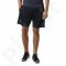 Šortai teisėjams Adidas UCL Referee Shorts M AA1802