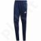 Sportinės kelnės futbolininkams Adidas Tiro 19 Training M DT5174