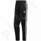 Sportinės kelnės futbolininkams Adidas Tiro 19 Pes Pant M D95924