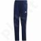 Sportinės kelnės futbolininkams Adidas Tiro 19 Woven Pant M DT5180