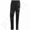 Sportinės kelnės futbolininkams Adidas Tiro 19 Warm Pant M D95959