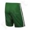 Šortai futbolininkams Nike LEAGUE KNIT SHORT M 725881-302