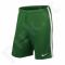 Šortai futbolininkams Nike LEAGUE KNIT SHORT M 725881-302