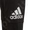 Sportinės kelnės adidas YB Logo Pant Junior CF6541