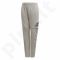 Sportinės kelnės adidas YB Logo Pant Jr CF6540