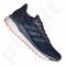 Sportiniai bateliai bėgimui Adidas   Solar Drive 19 M EF0786