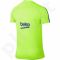 Marškinėliai futbolui Nike Dry Squad FC Barcelona M 808924-369