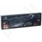 Keyboard + mouse TRACER Nexus RF TRK-301 USB