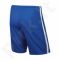 Šortai futbolininkams Nike LEAGUE KNIT SHORT M 725881-463