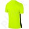 Marškinėliai futbolui Nike SS Precision IV JSY M 832975-702