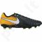 Futbolo bateliai  Nike Tiempo Ligera IV FG M 897744-008