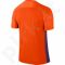 Marškinėliai futbolui Nike SS Precision IV JSY 832975-815