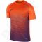 Marškinėliai futbolui Nike SS Precision IV JSY 832975-815
