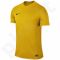 Marškinėliai futbolui Nike Park VI M 725891-739