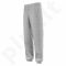 Sportinės kelnės Adidas Core 15 Sweat Pants Junior S22348