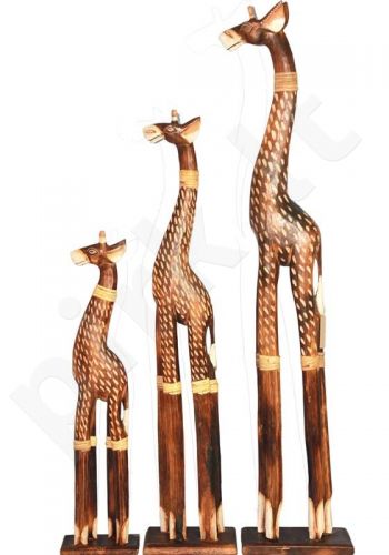 3 žirafų komplektas 82072