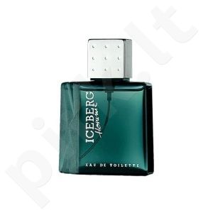 Iceberg Homme, tualetinis vanduo vyrams, 100ml