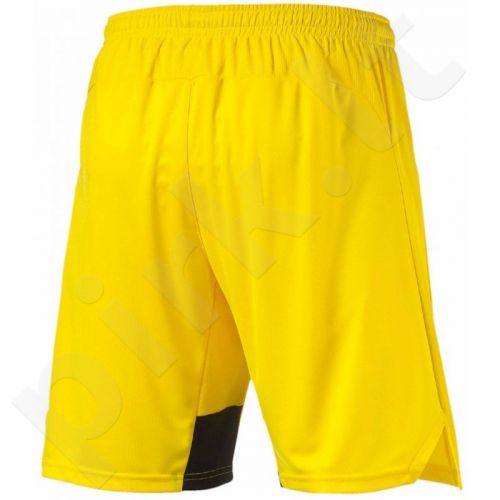 puma borussia shorts