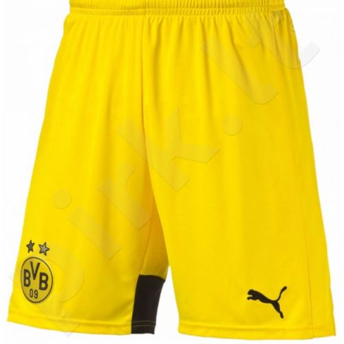 puma borussia shorts