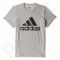 Marškinėliai Adidas Sport Essentials Logo M S23016