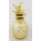 Dekoracinis Ananasas