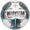Futbolo kamuolys Select Derby Star Bundesliga Replica 3915900038