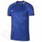 Marškinėliai futbolui Nike Dry Academy M AJ4231-405