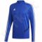 Bliuzonas futbolininkui Adidas Tiro 19 Training Top M DT5277