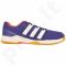 Rankinio batai Adidas  Essence 11 M B40418