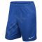 Šortai futbolininkams Nike Park II M 725887-463