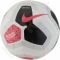 Futbolo kamuolys Nike PL Strike FA19 SC3552 101