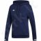 Bliuzonas futbolininkui Adidas Team 19 Hoody W DY8823