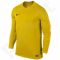 Marškinėliai futbolui Nike Park VI LS M 725884-739