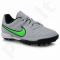Futbolo bateliai  Nike Tiempo Rio II TF Jr 631524-030