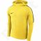 Bliuzonas futbolininkui  Nike Dry Academy18 Hoodie PO M AH9608-719