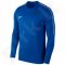 Bliuzonas futbolininkui  Nike Dry Park18 Football Crew Top M AA2088-463