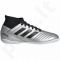 Futbolo bateliai Adidas  Predator 19.3 IN Jr G25806