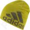 Kepurė  Adidas Knit Logo Beanie S94129
