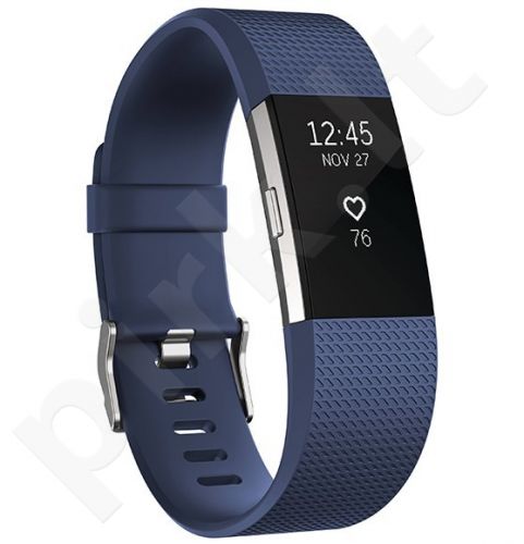Fitbit Charge 2 Blue Silver - Large