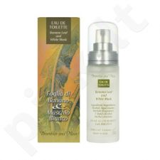 Frais Monde Banana Leaf And White Musk, tualetinis vanduo moterims, 30ml