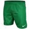Šortai futbolininkams Nike Park Knit Short Junior 448263-302
