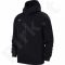 Bliuzonas Nike Hoodie FZ FLC TM Club 19 JUNIOR AJ1458-010