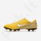 Futbolo bateliai  Nike Mercurial Vapor 12 Academy Neymar MG M AO3131-710