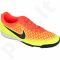 Futbolo bateliai  Nike Magista Ola TF M 651548-807