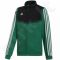 Bliuzonas futbolininkui Adidas Tiro 19 Presentation Jacket Junior DW4790